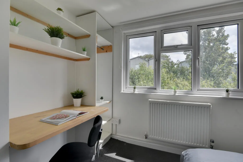 6 bedroom house for rent