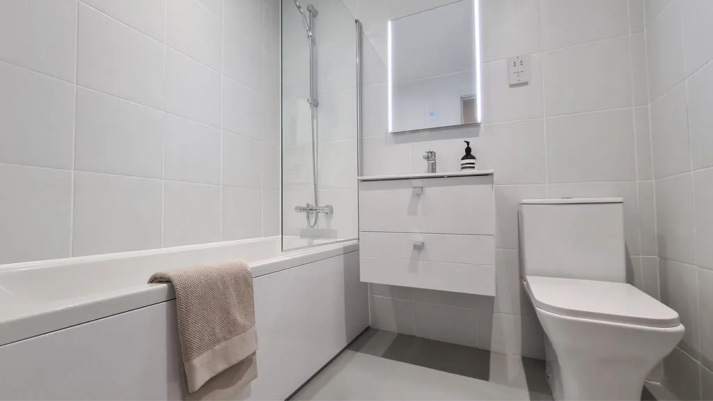 1 bedroom apartment for rent
