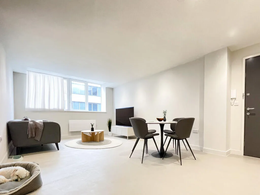 1 bedroom apartment for rent
