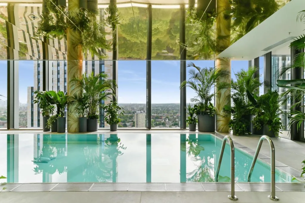 1 bedroom apartment for rent