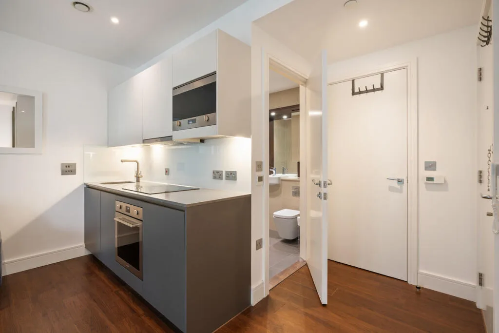 1 bedroom apartment for rent