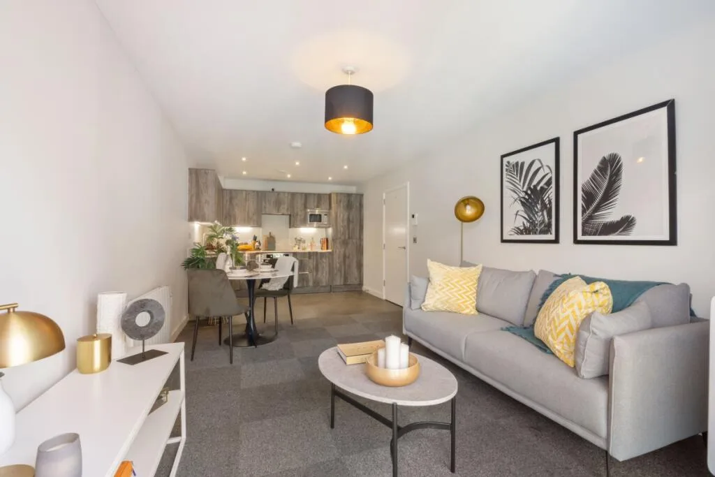 1 bedroom flat for rent