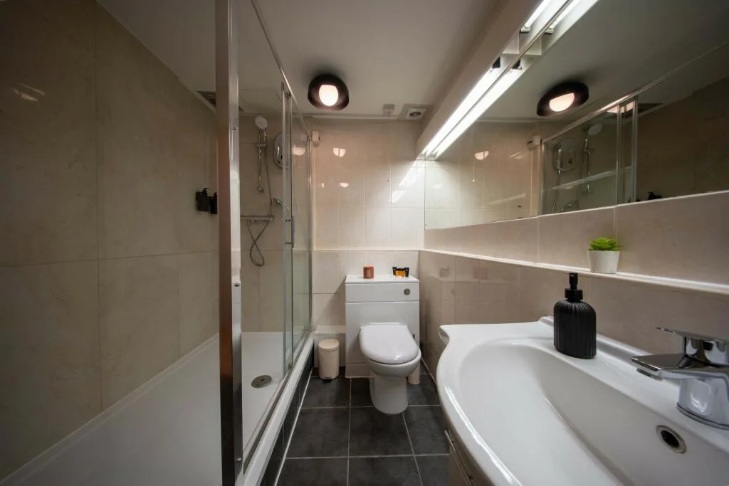 1 bedroom apartment for rent