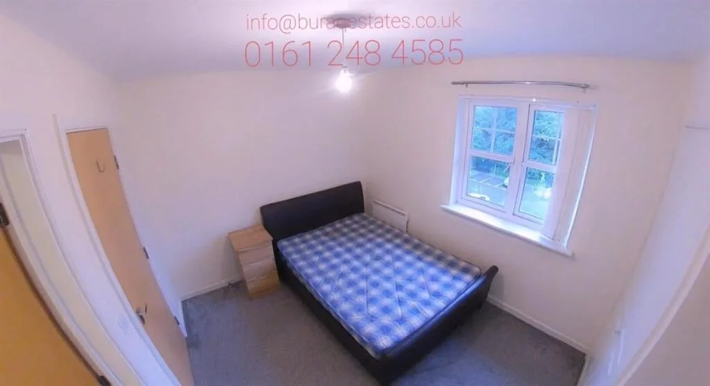2 bedroom house for rent