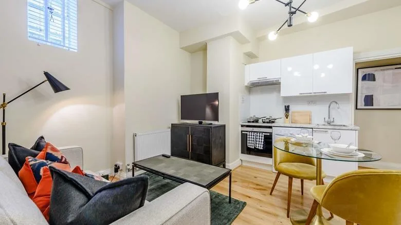 1 bedroom apartment for rent