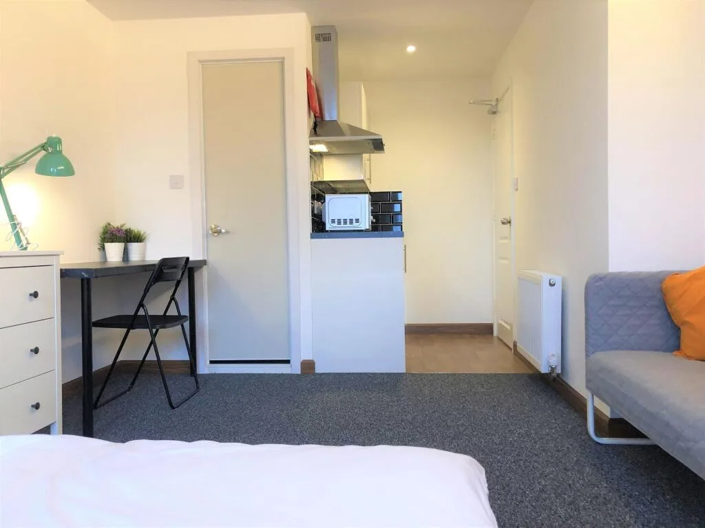 Studio flat for rent