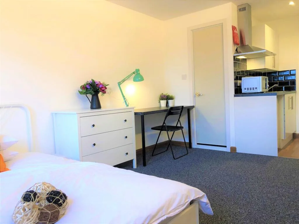 Studio flat for rent