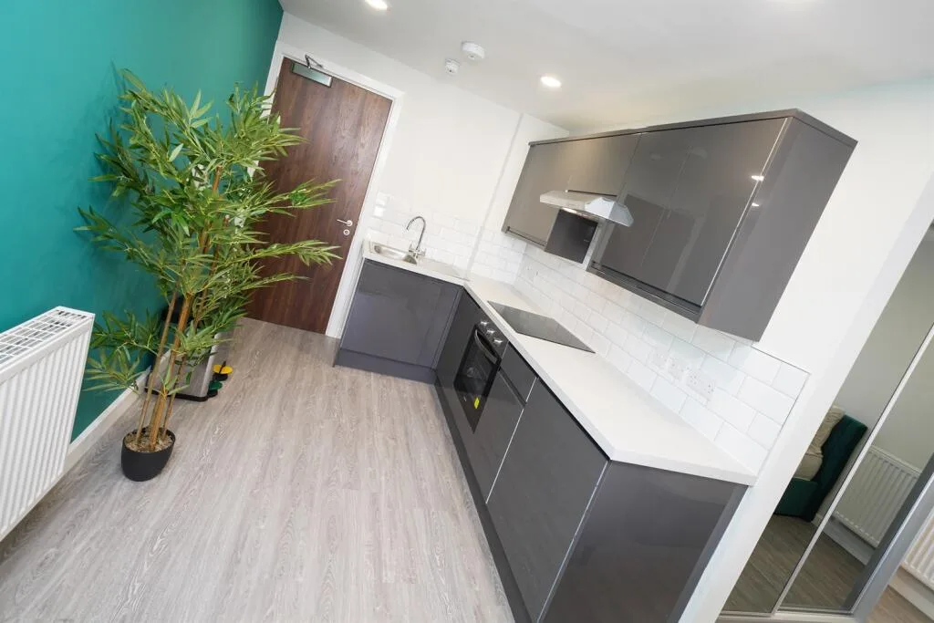 Studio apartment for rent