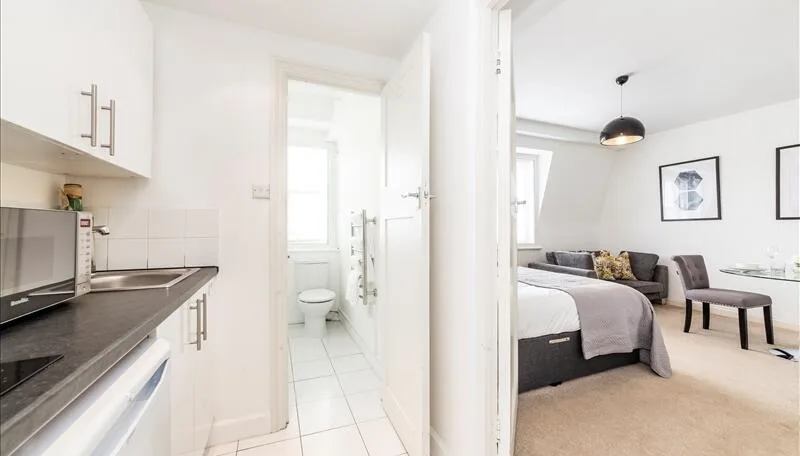 1 bedroom apartment for rent