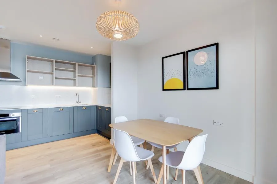 1 bedroom apartment for rent