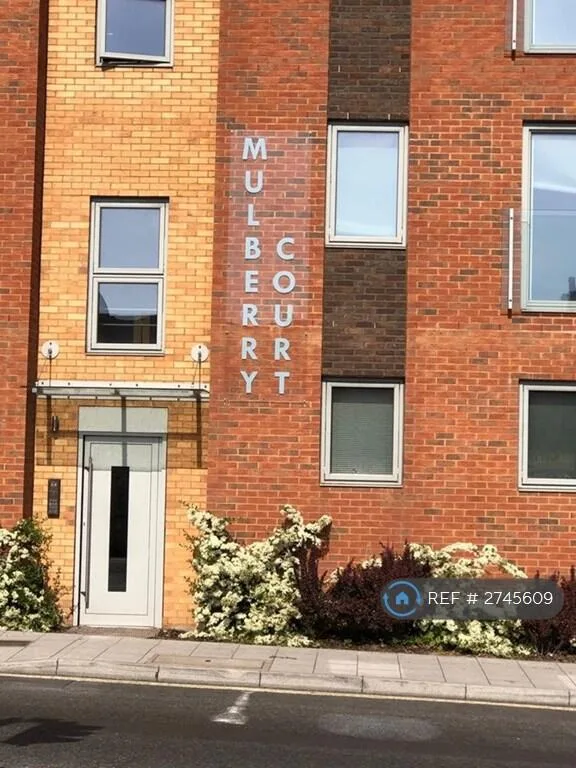 1 bedroom flat share for rent