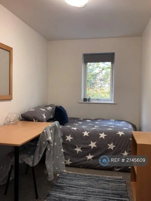 1 bedroom flat share for rent