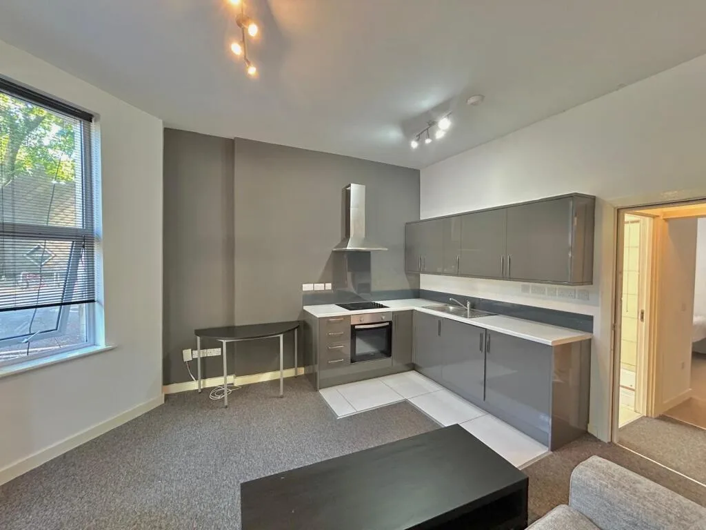 1 bedroom apartment for rent