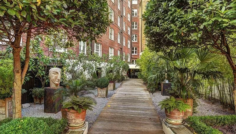 1 bedroom property for rent
