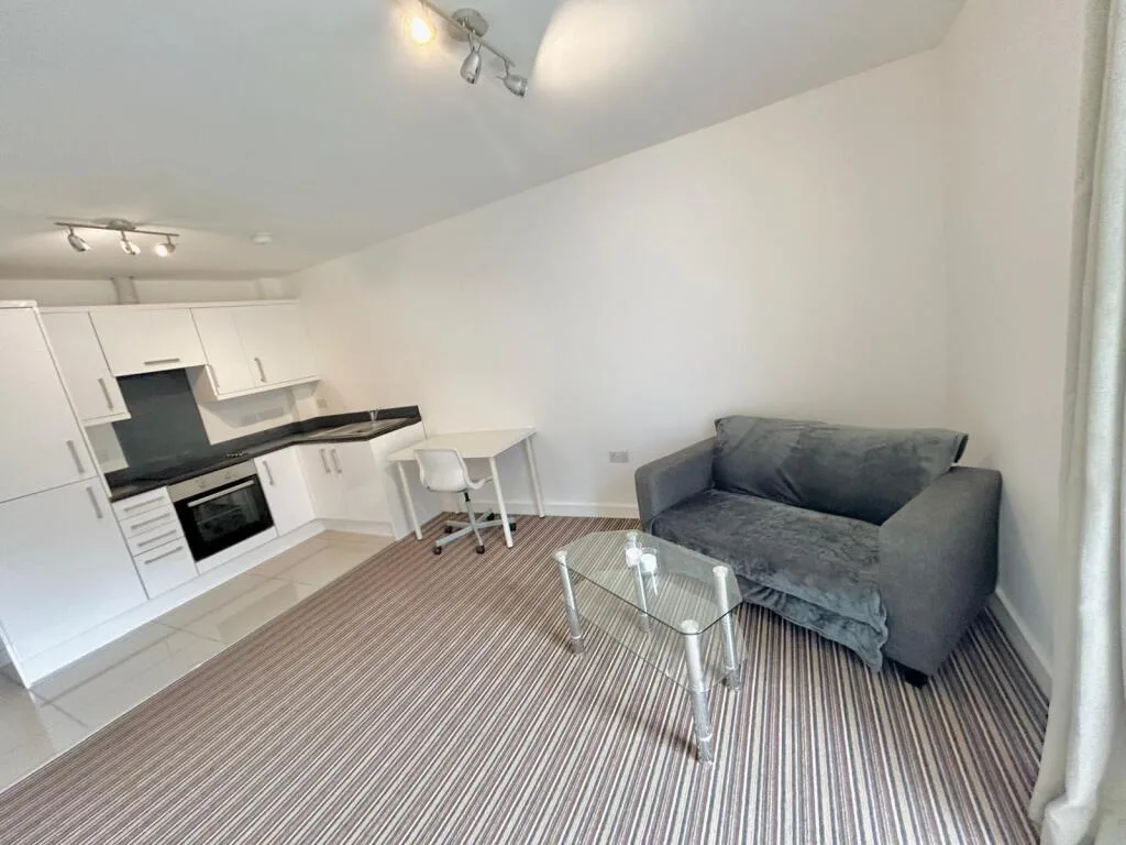 1 bedroom apartment for rent