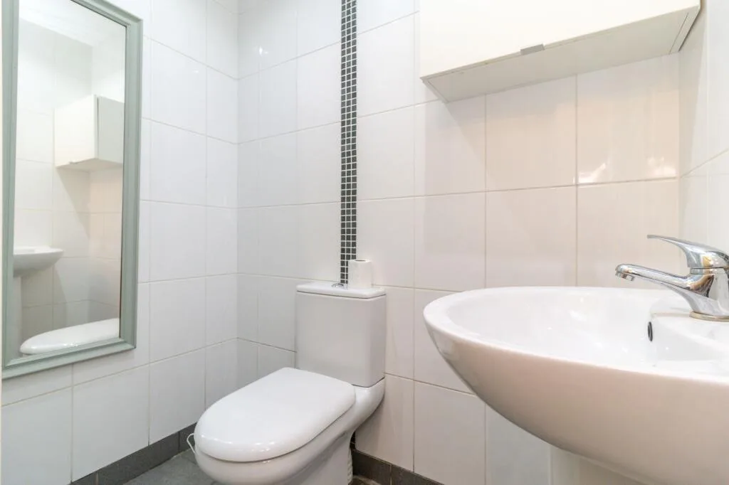 1 bedroom coach house for rent