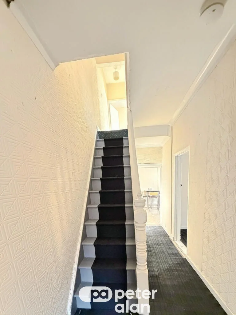 3 bedroom house for rent