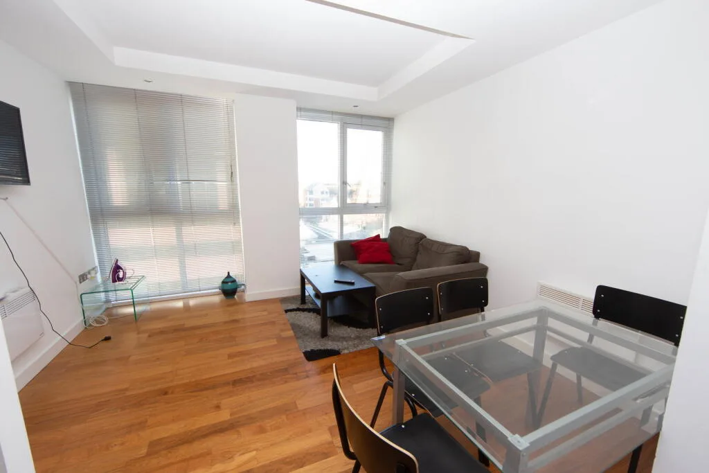 1 bedroom apartment for rent