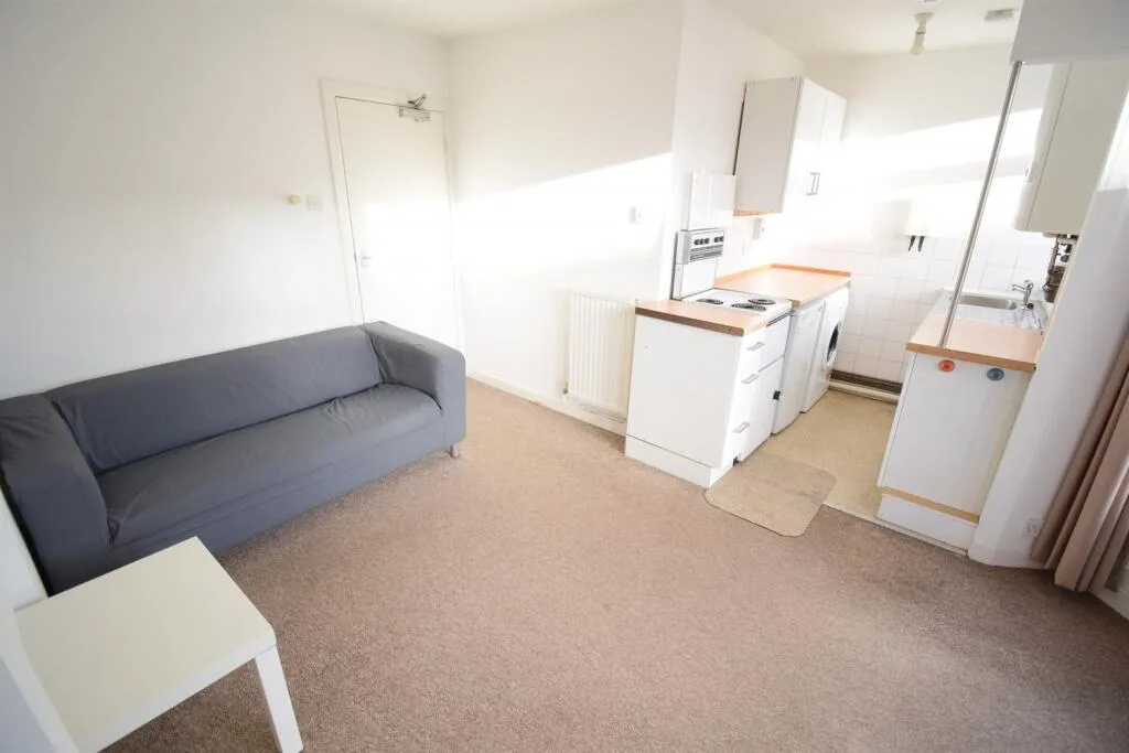 1 bedroom flat for rent