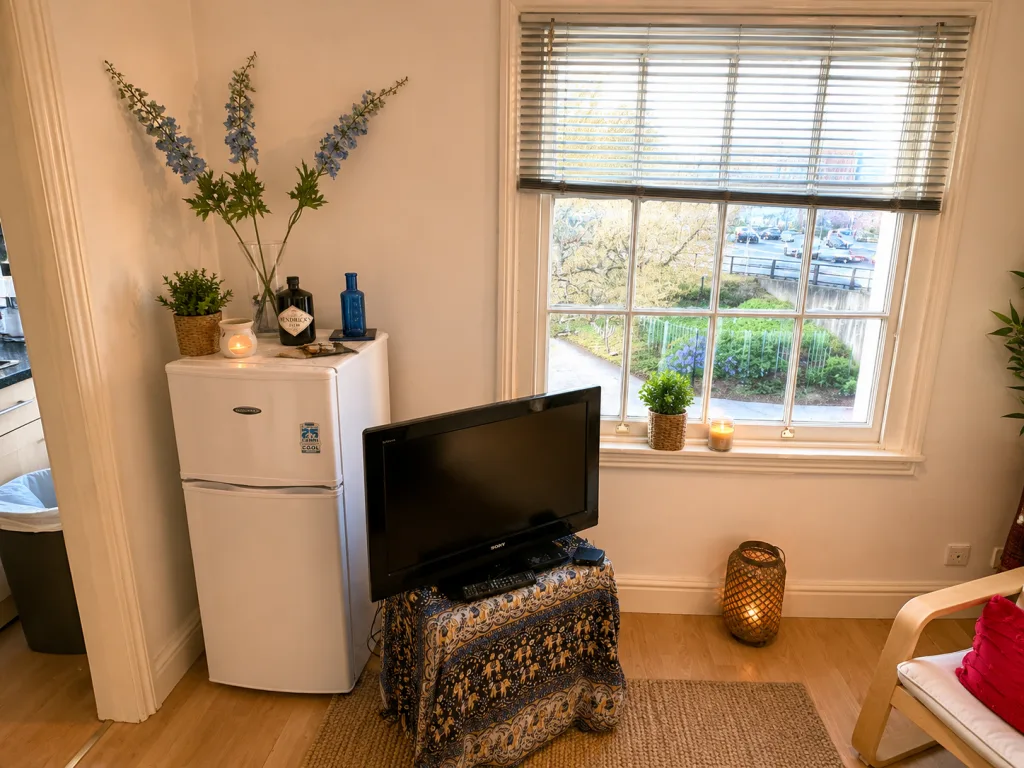1 bedroom flat for rent