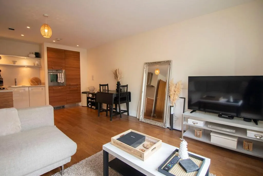 1 bedroom apartment for rent