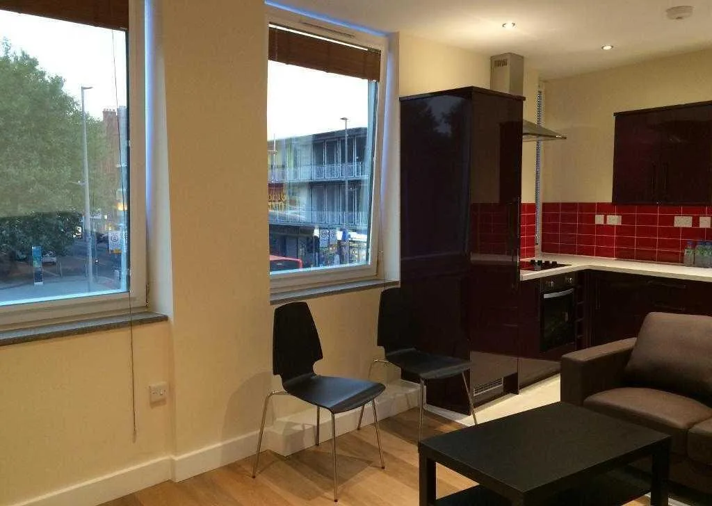 1 bedroom apartment for rent