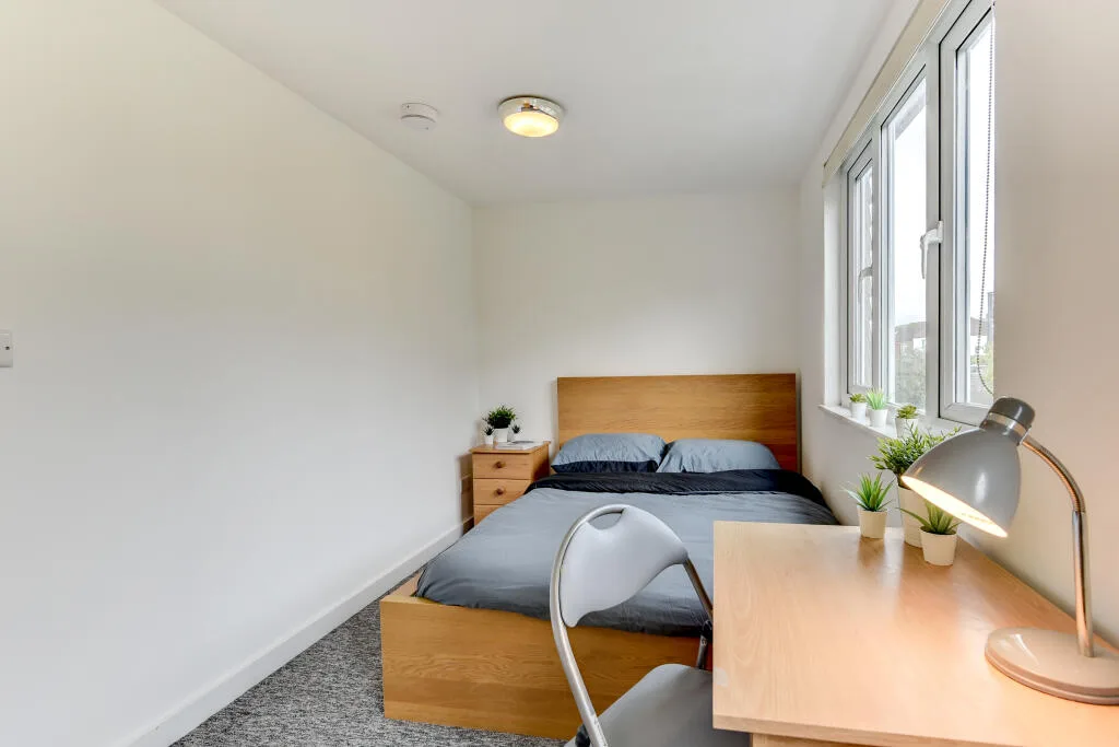 6 bedroom house for rent