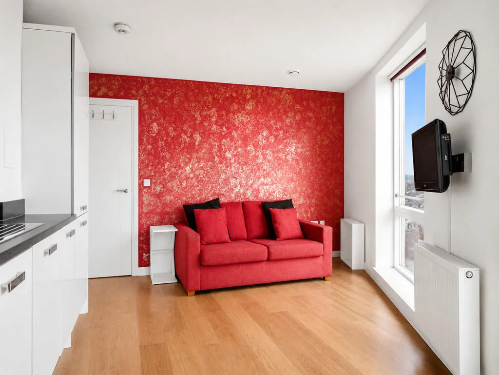 1 bedroom apartment for rent