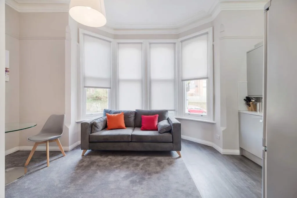 1 bedroom apartment for rent