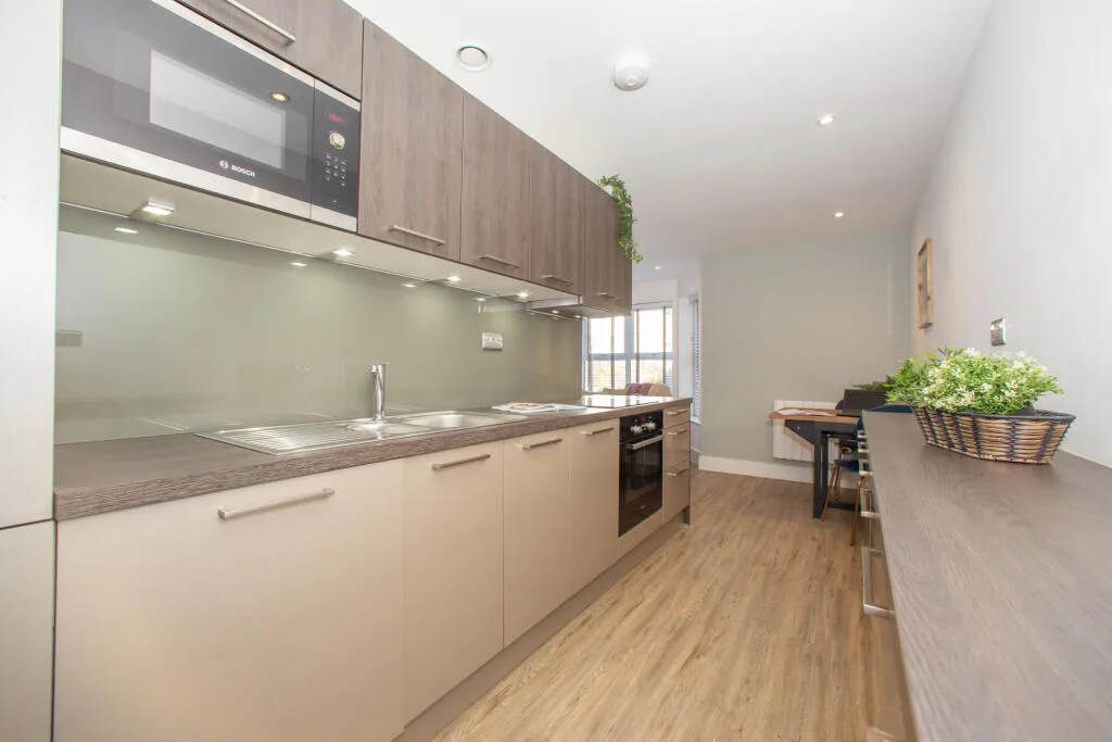 1 bedroom apartment for rent