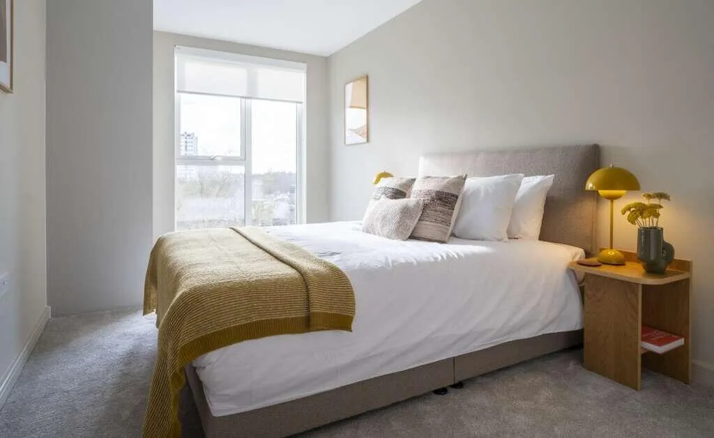 2 bedroom apartment for rent
