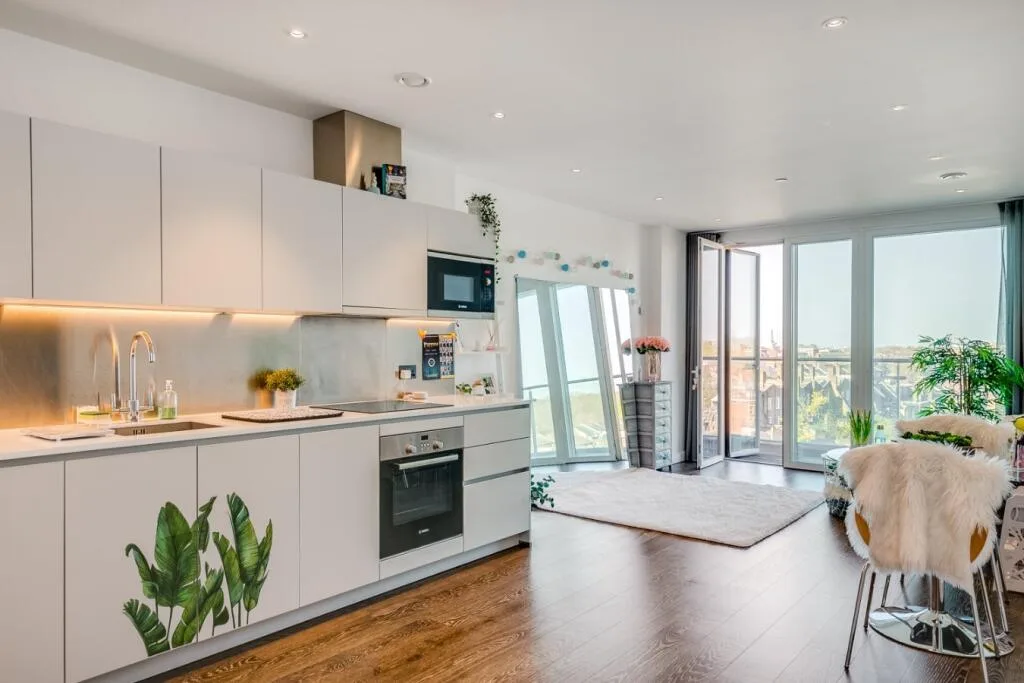 1 bedroom apartment for rent