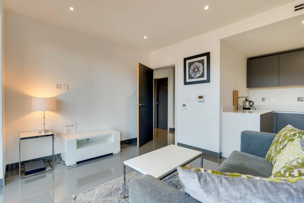 1 bedroom apartment for rent