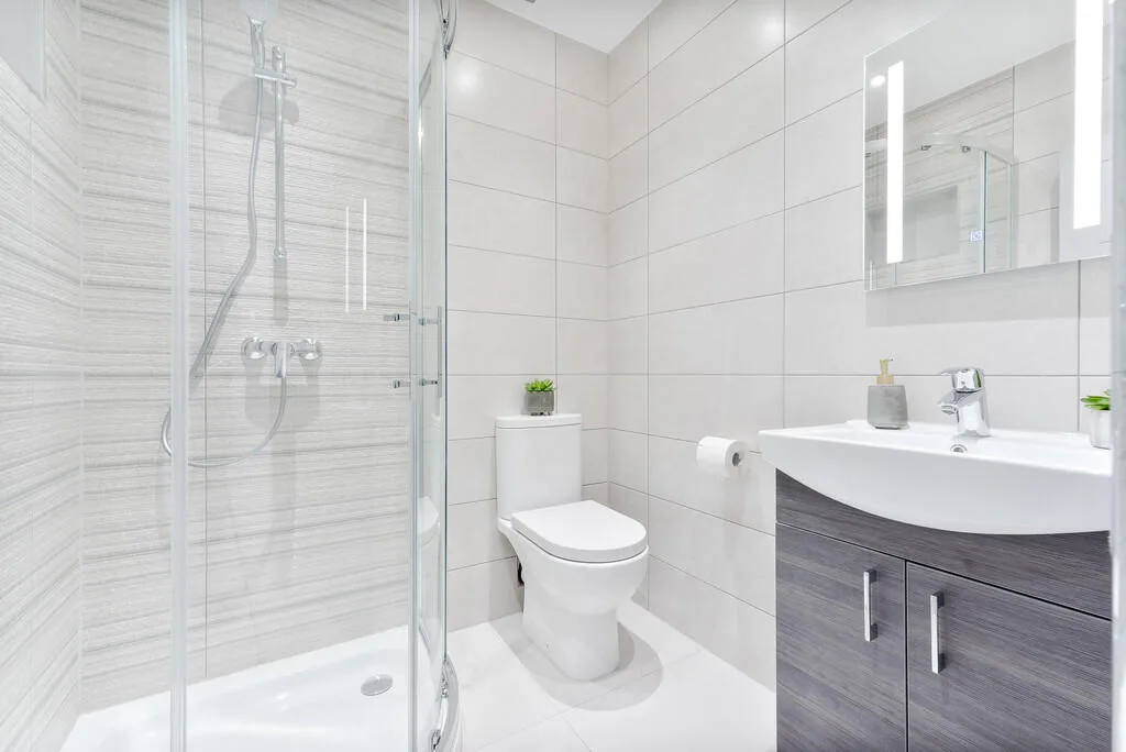 1 bedroom flat share for rent