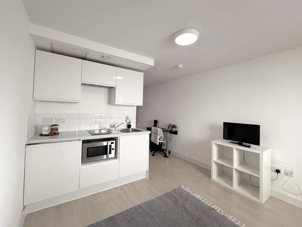 Studio flat for rent