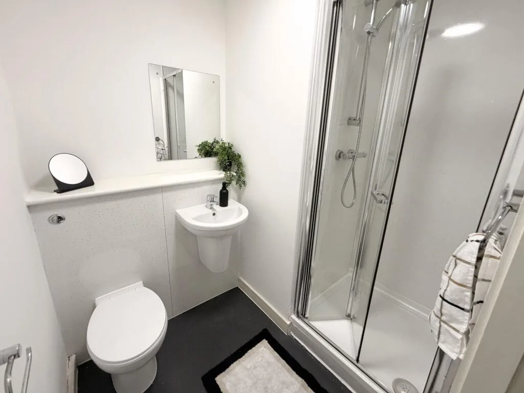 Studio flat for rent