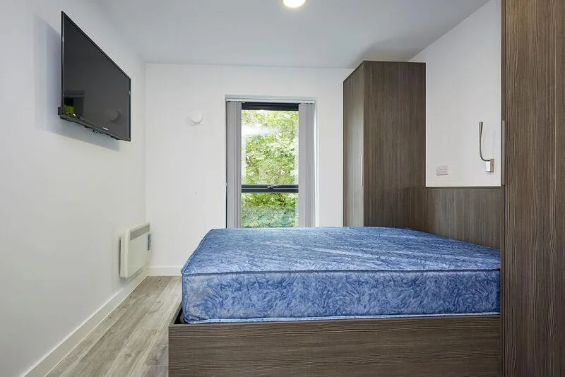 1 bedroom house for rent