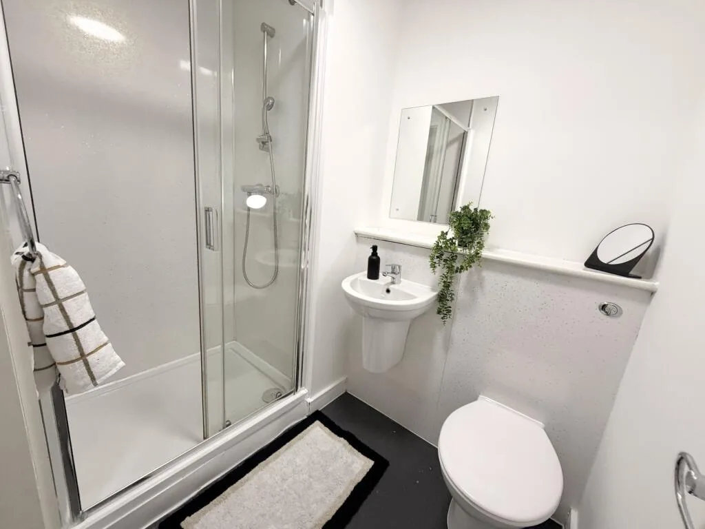 Studio flat for rent