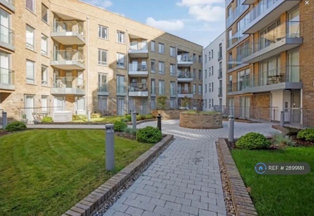 3 bedroom flat for rent