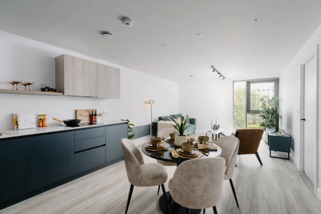 1 bedroom apartment for rent