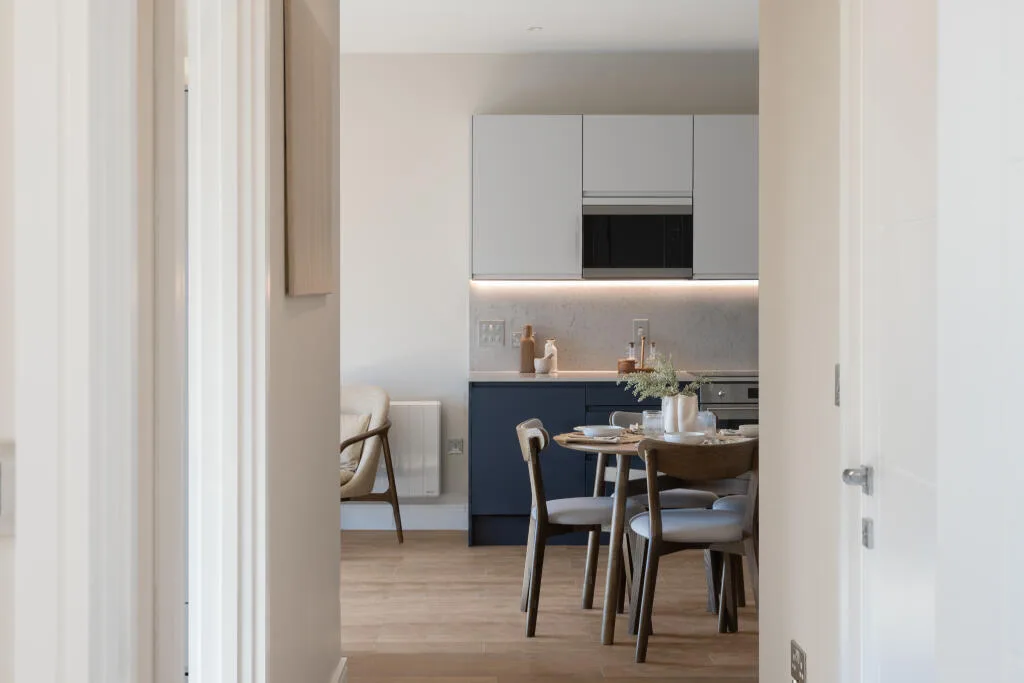 1 bedroom apartment for rent
