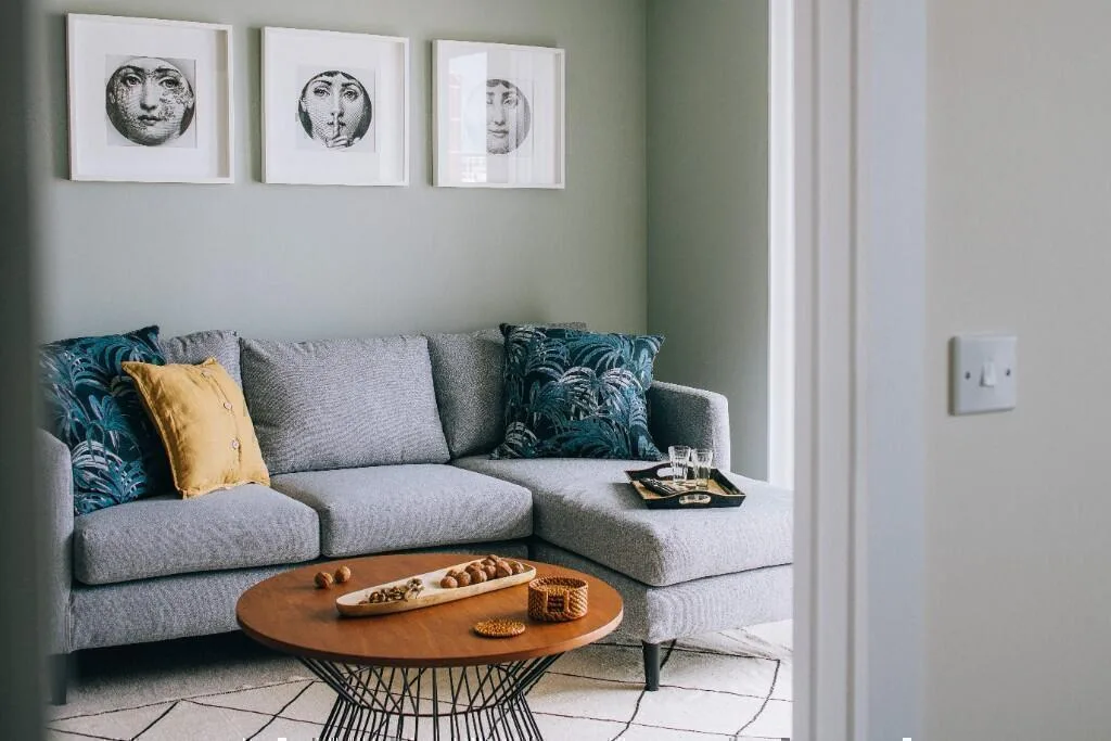 1 bedroom apartment for rent