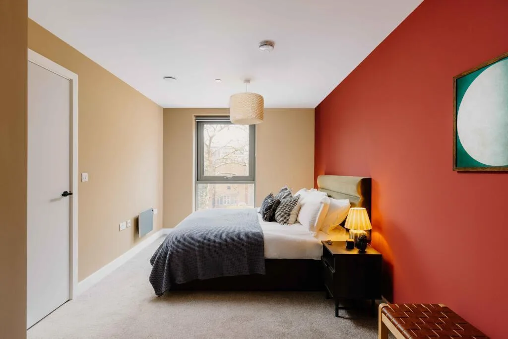 1 bedroom apartment for rent