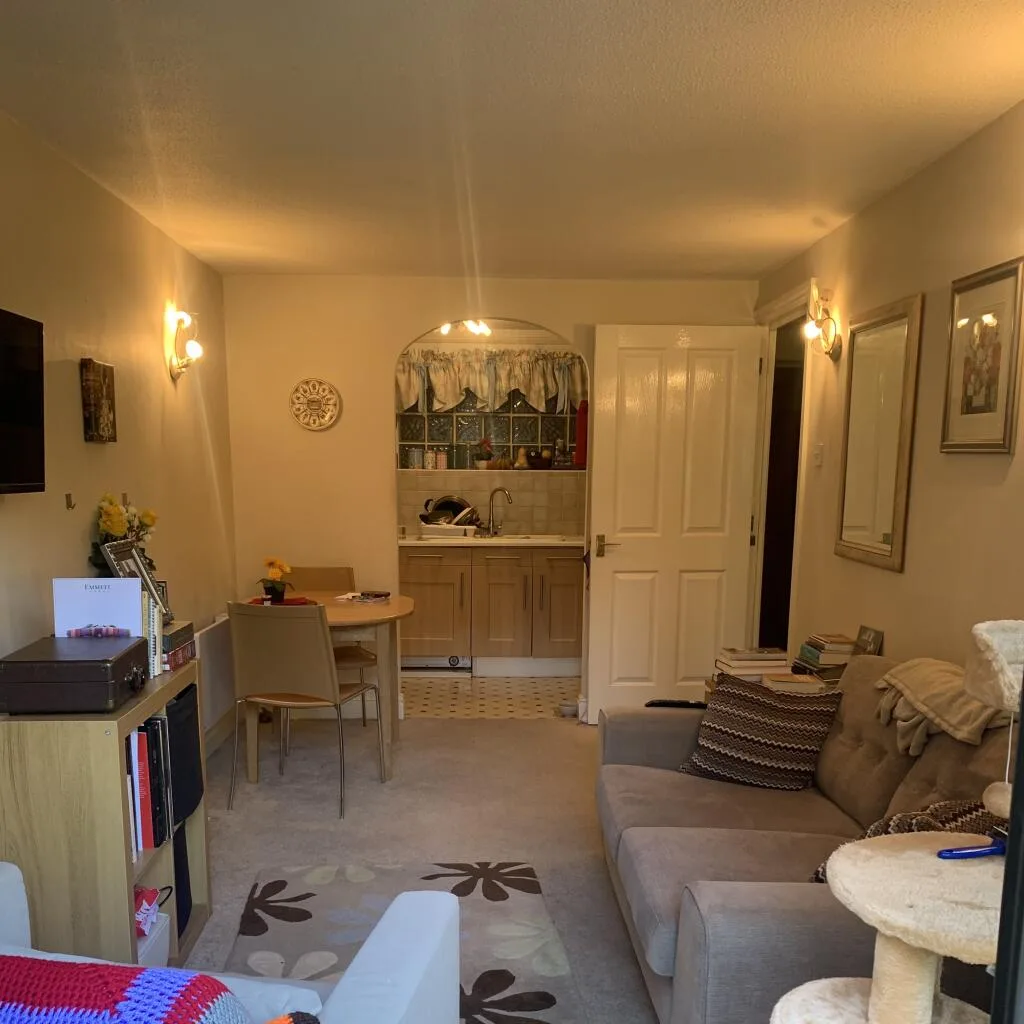 1 bedroom flat for rent