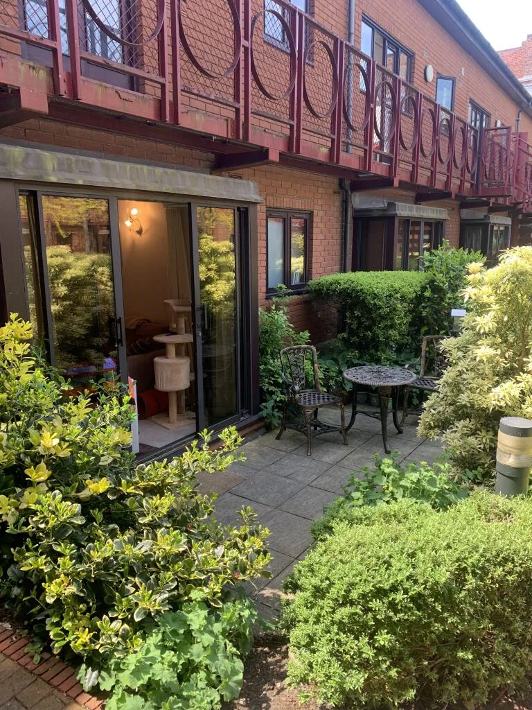 1 bedroom flat for rent