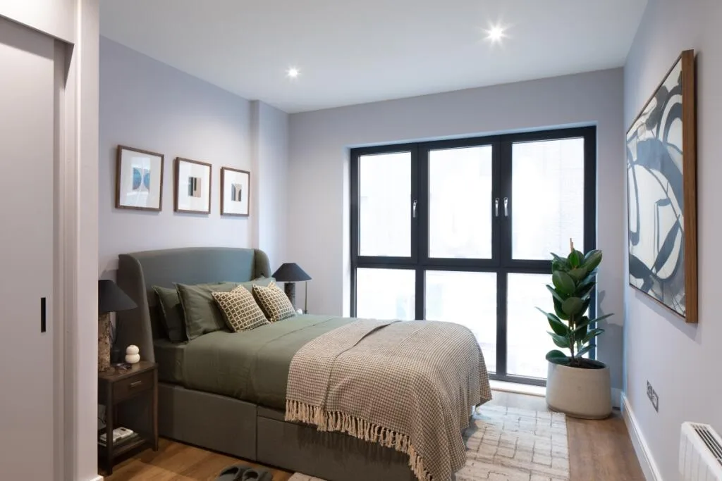 1 bedroom apartment for rent