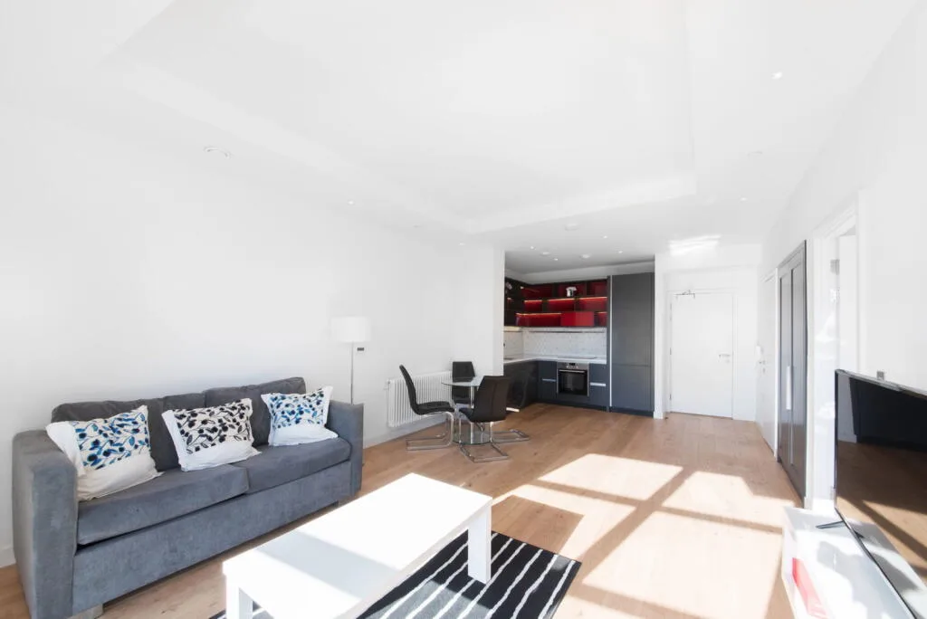 1 bedroom apartment for rent