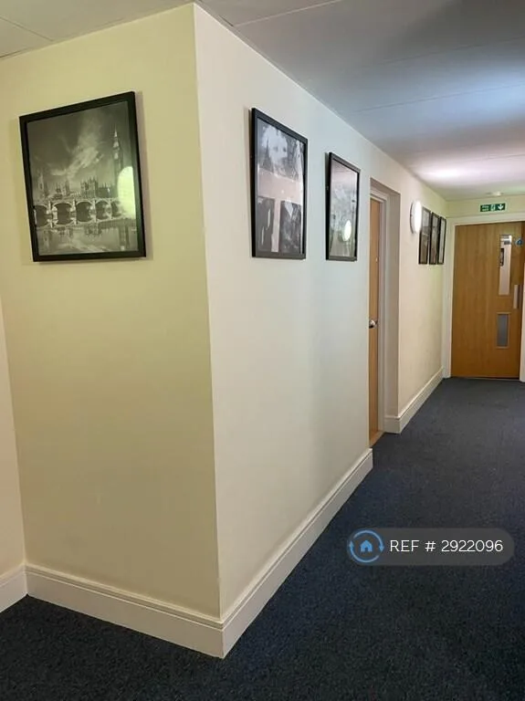 1 bedroom flat share for rent