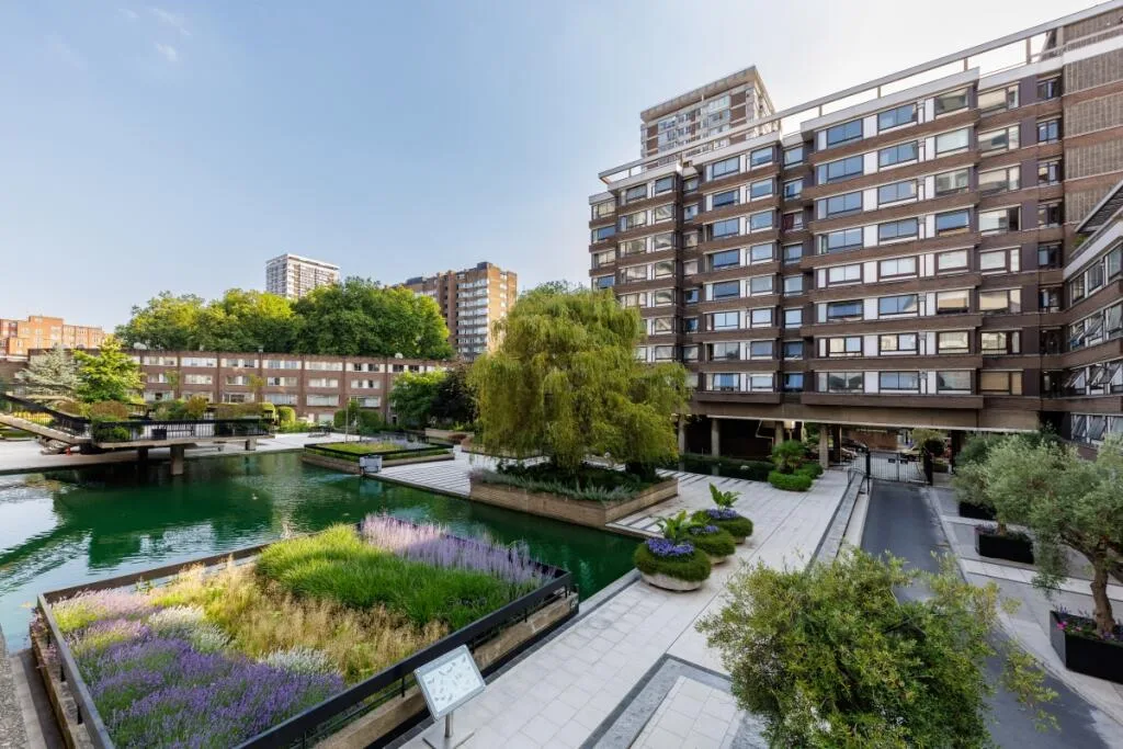3 bedroom apartment for rent