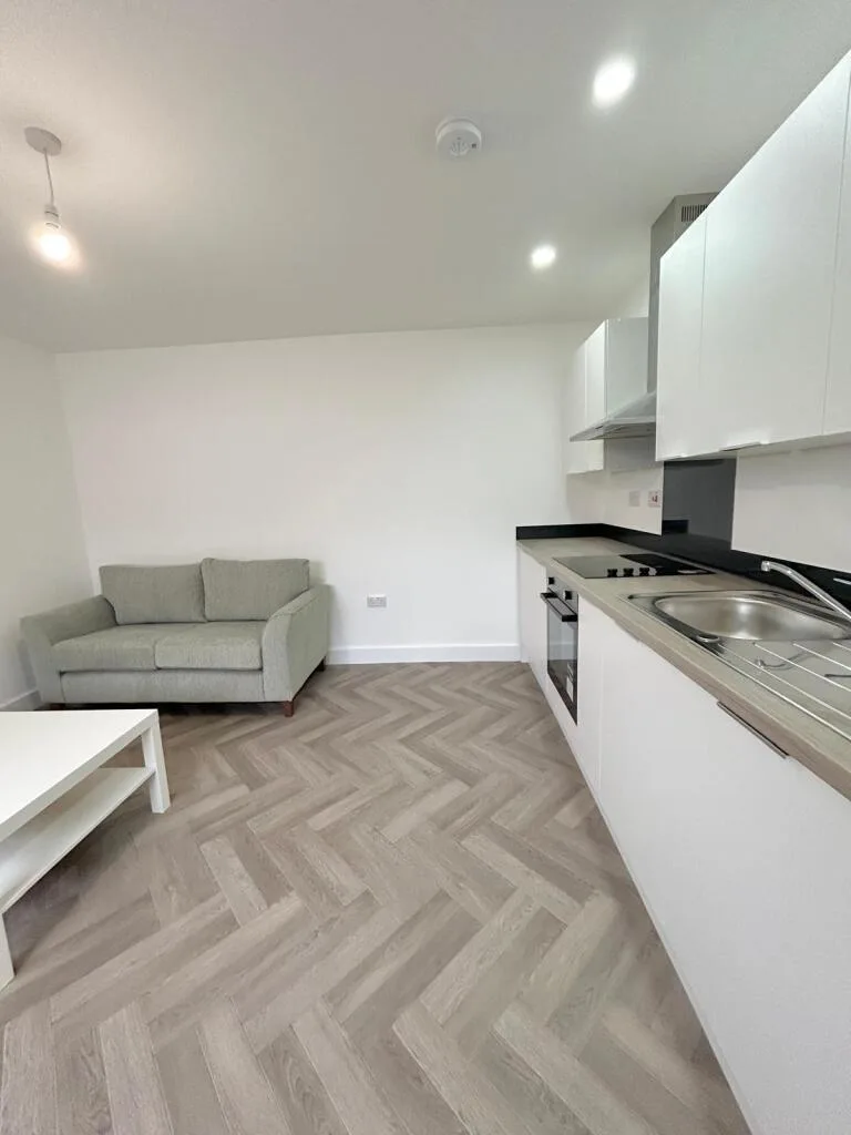 1 bedroom apartment for rent